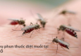 Phun thuốc muỗi Tây Hồ – Hotline: 0989.782.883